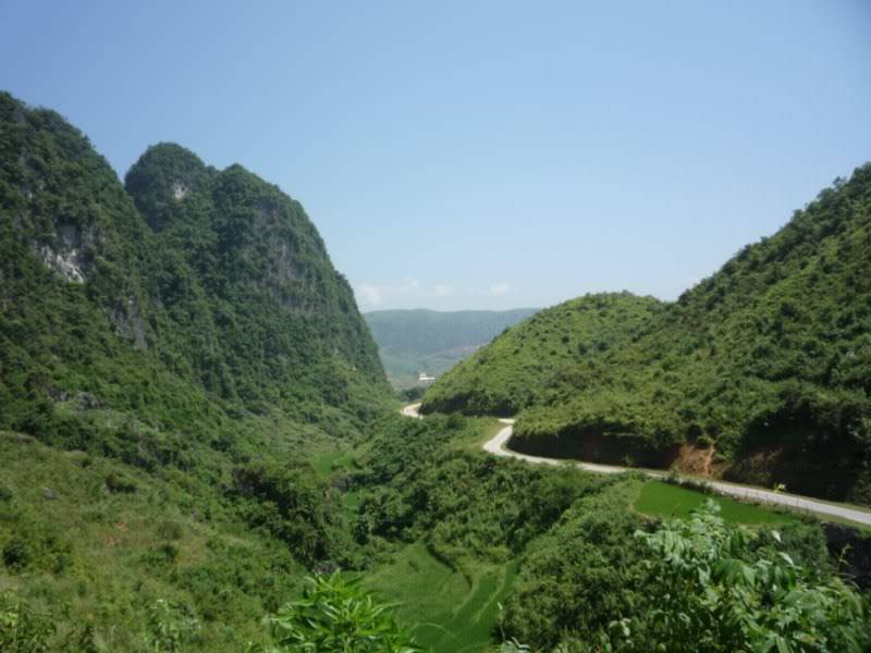 P1010878800x600.jpg