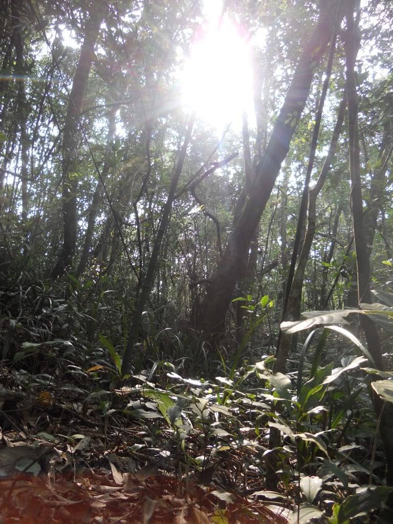 DSCN5208.jpg