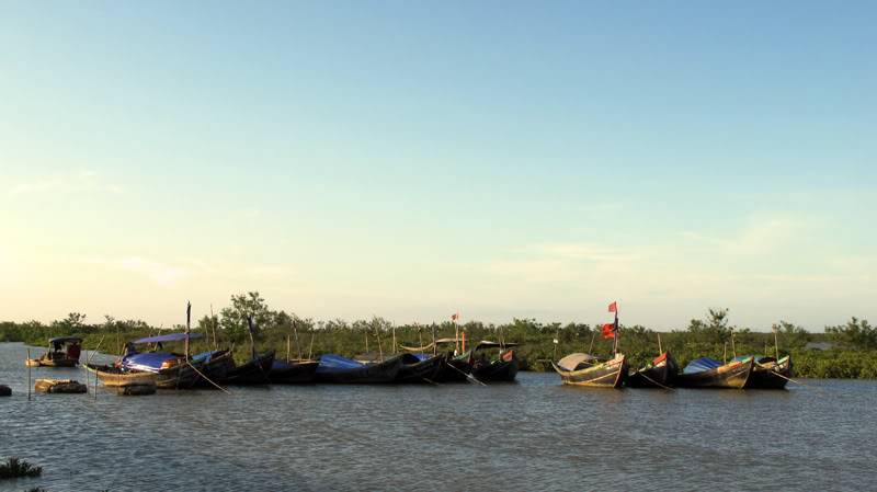 IMG_8038.jpg