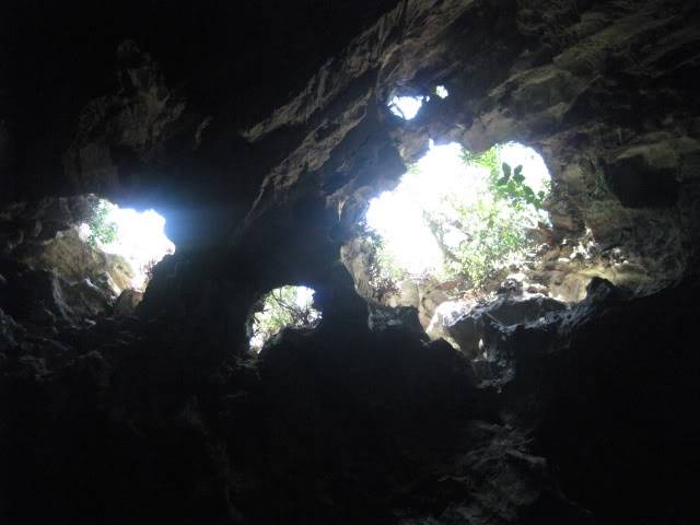 DNt809091.jpg