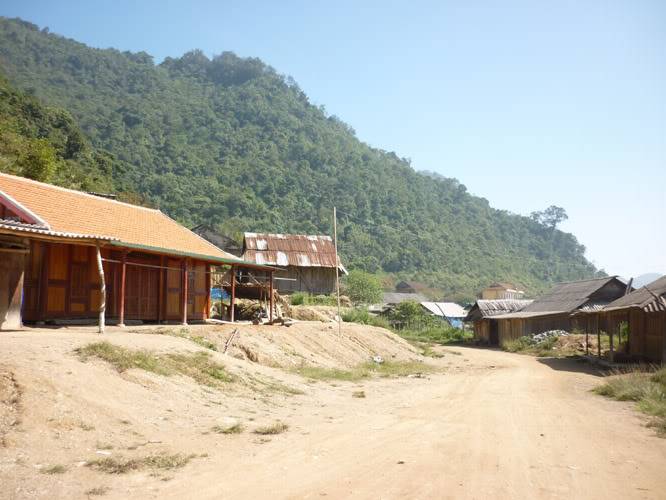 P1410785.jpg