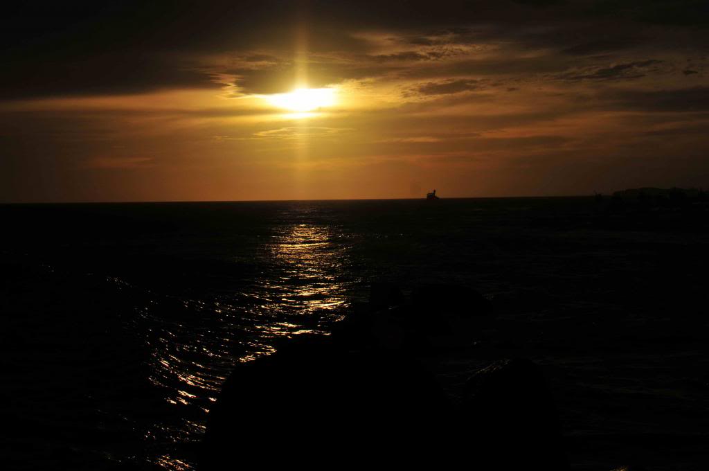 DSC_1586_zps6e8266dd.jpg