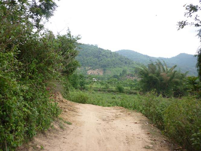 P1300675.jpg
