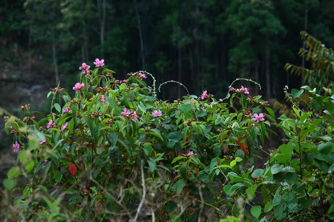 DSC_3530.jpg