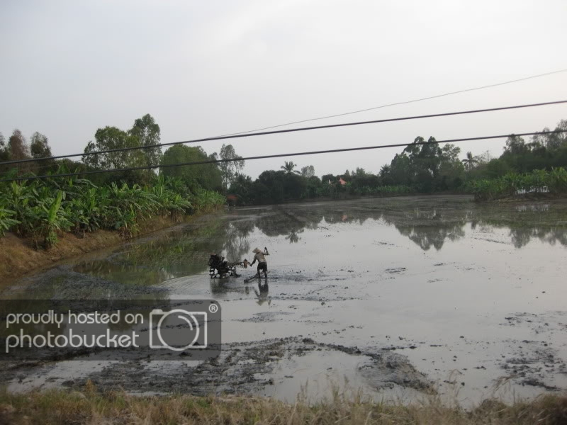 DongThapTET2011527.jpg
