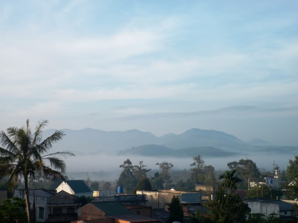 P1020157.jpg