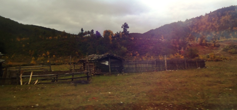 DSC05644.jpg