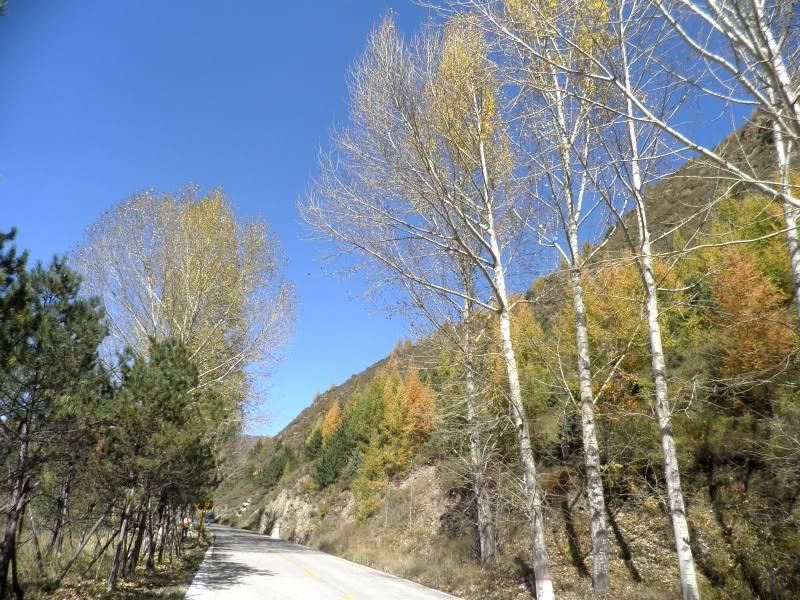 PA141318.jpg