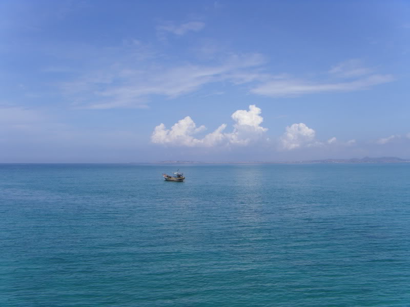 SDC13879.jpg