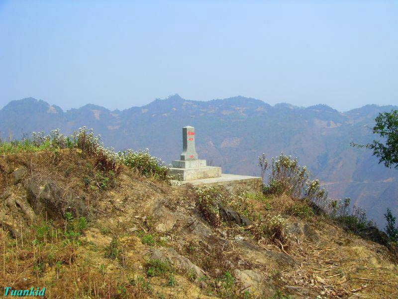 SDC16430.jpg