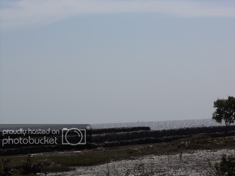 DSC00167.jpg