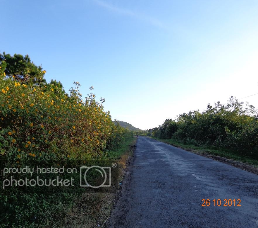 DSC00626R.jpg
