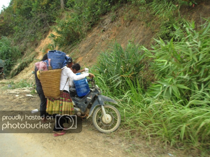 IMG_0230_zpsa3162f35.jpg