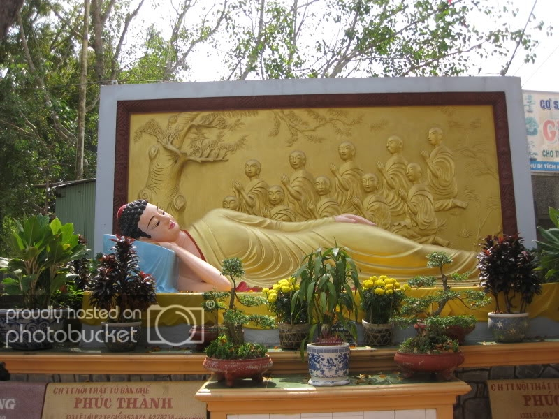 DongThapTET2011116.jpg