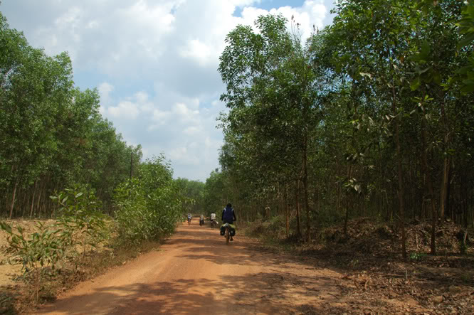 DSC_3870.jpg
