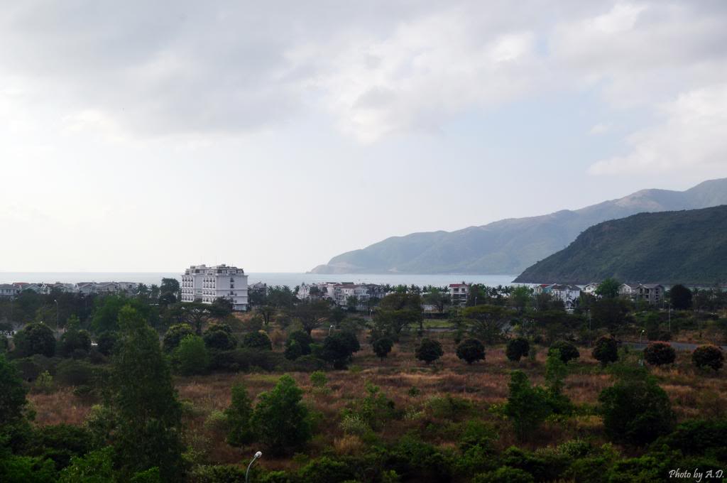 DSC_0098_zps34723086.jpg