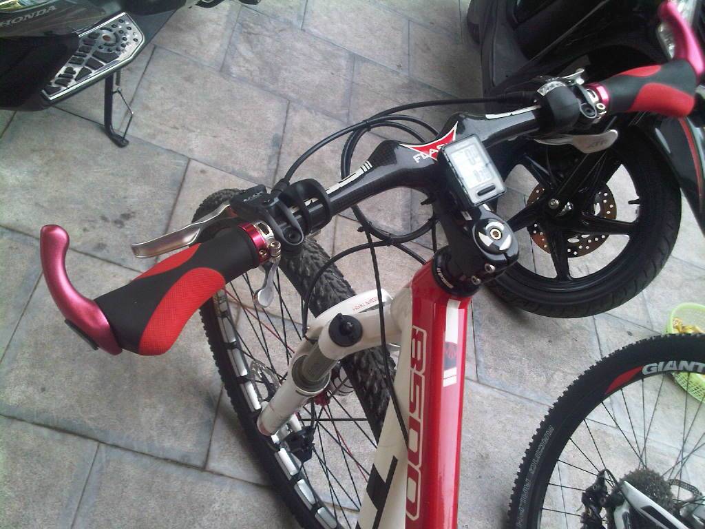 IMG-20120613-00413.jpg