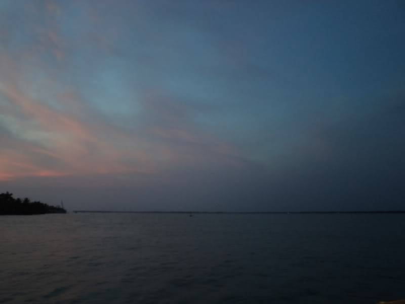 DSC00930.jpg