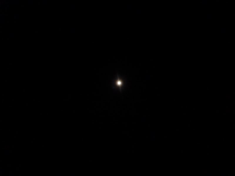 P1020116800x600.jpg