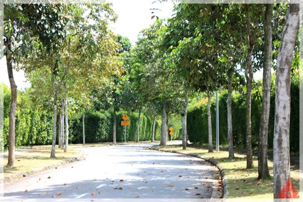 putrajaya8.jpg