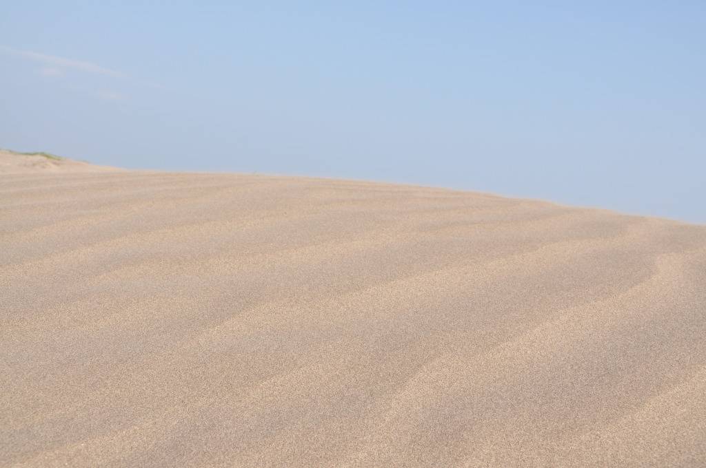 DSC_0080.jpg