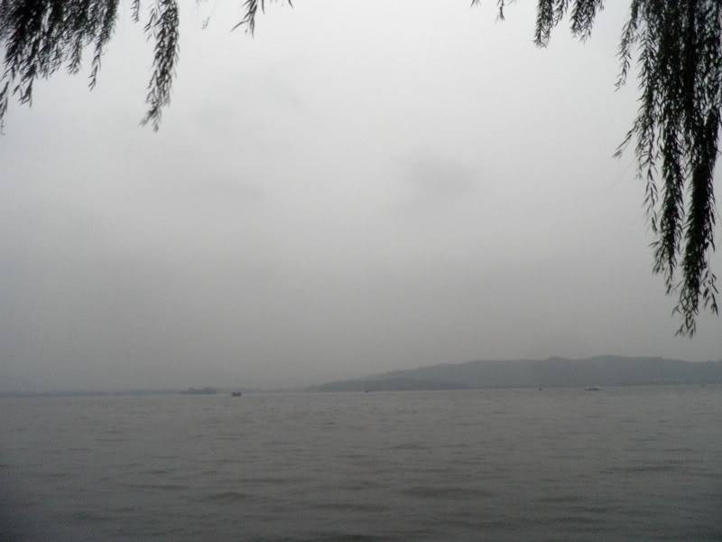 PB021101.jpg