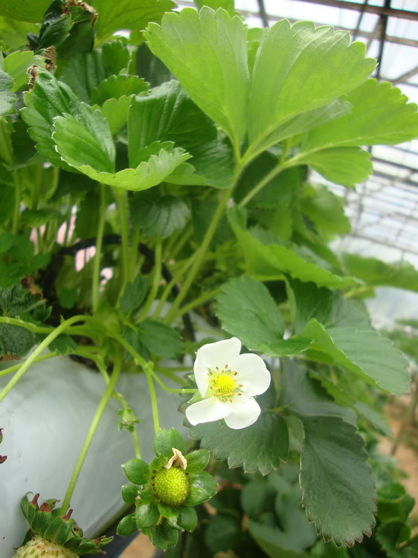 DSC02976_resize.jpg