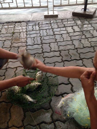 image-jpg.126184