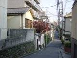 th_DSC02667.jpg