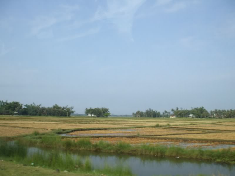DSCF6651.jpg