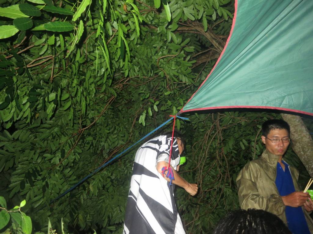 xedap026.jpg