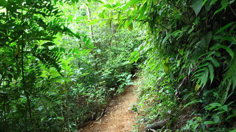 IMG_1899.jpg