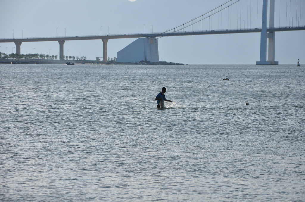 DSC_7745.jpg