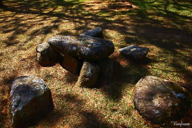 _MG_2358.jpg