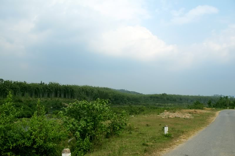 IMG_1899.jpg