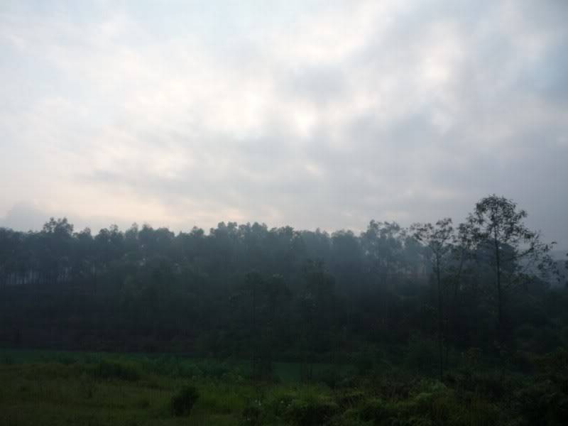 P1020012800x600.jpg