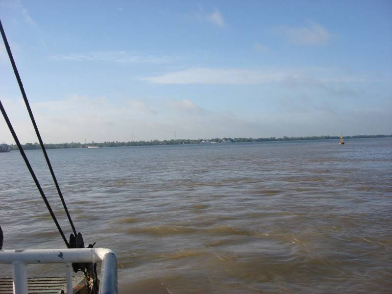 DSC02924.jpg