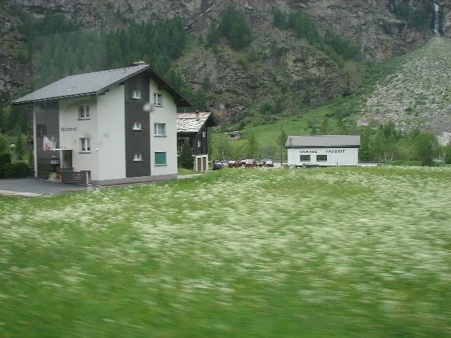 DSC09742.jpg
