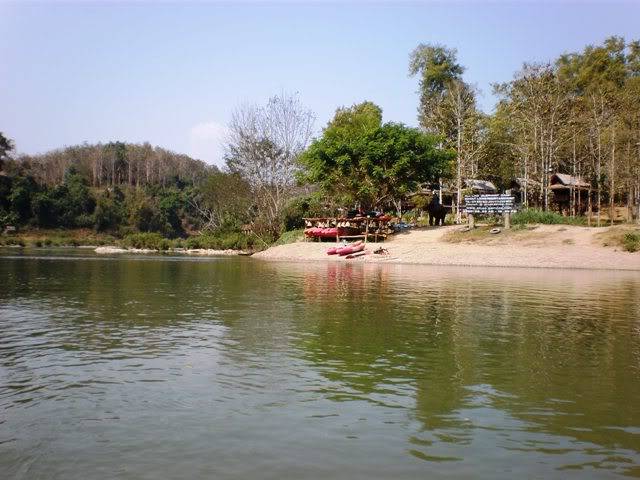 P2050641.jpg