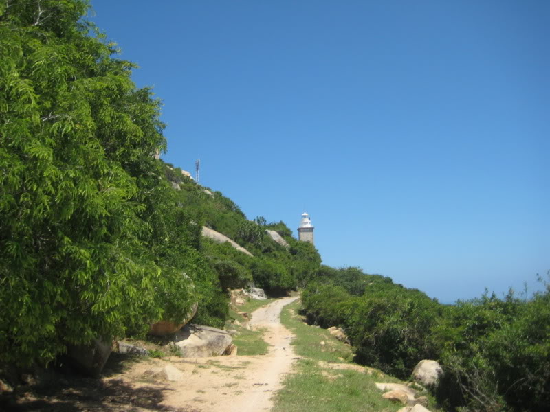 Picture110.jpg