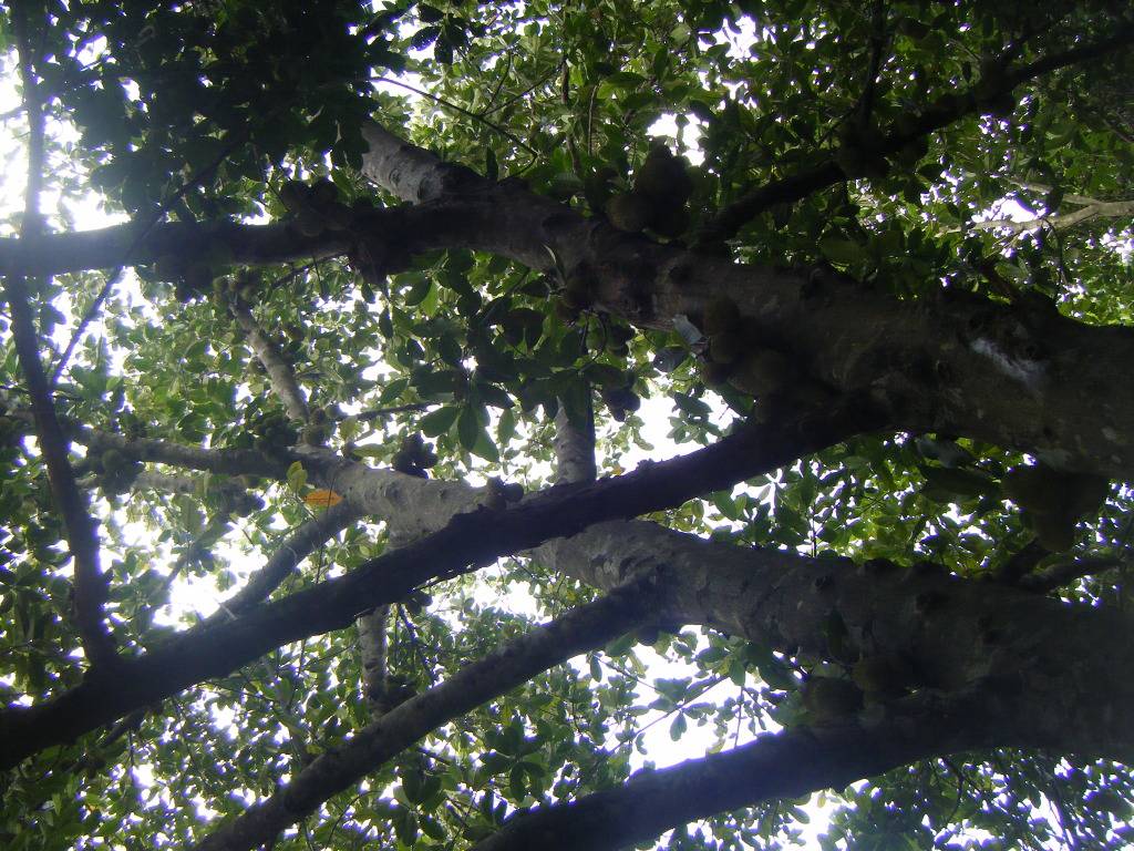DSCF9474.jpg