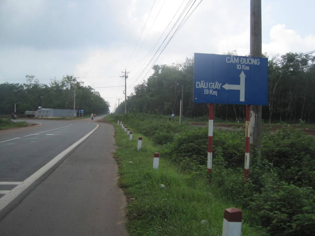 QL55QL28078.jpg