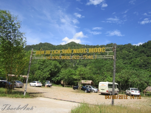 IMG_8091.jpg