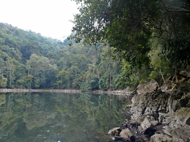 P1050568.JPG