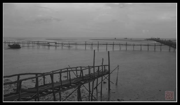 Chitto_TNB222_HamNinh.jpg