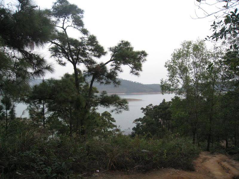 Duongtuluyen.jpg
