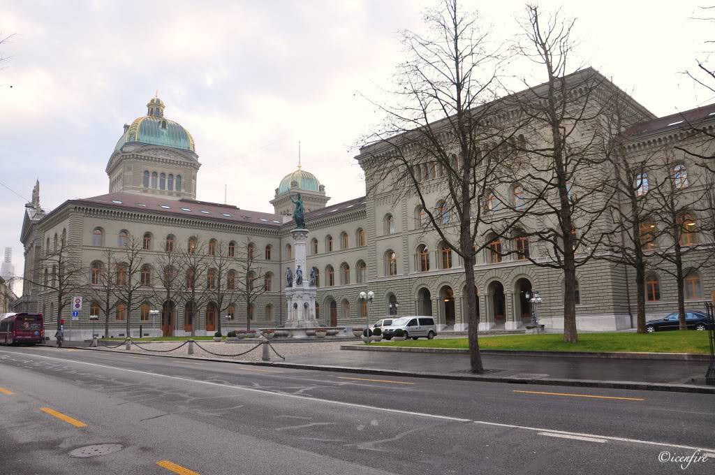 DSC_0894_new.jpg