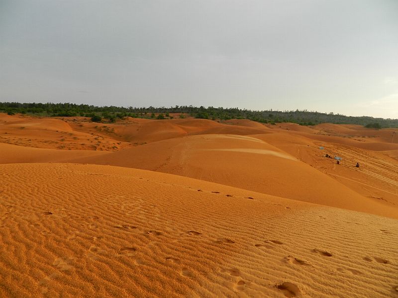 DSCN2073.jpg