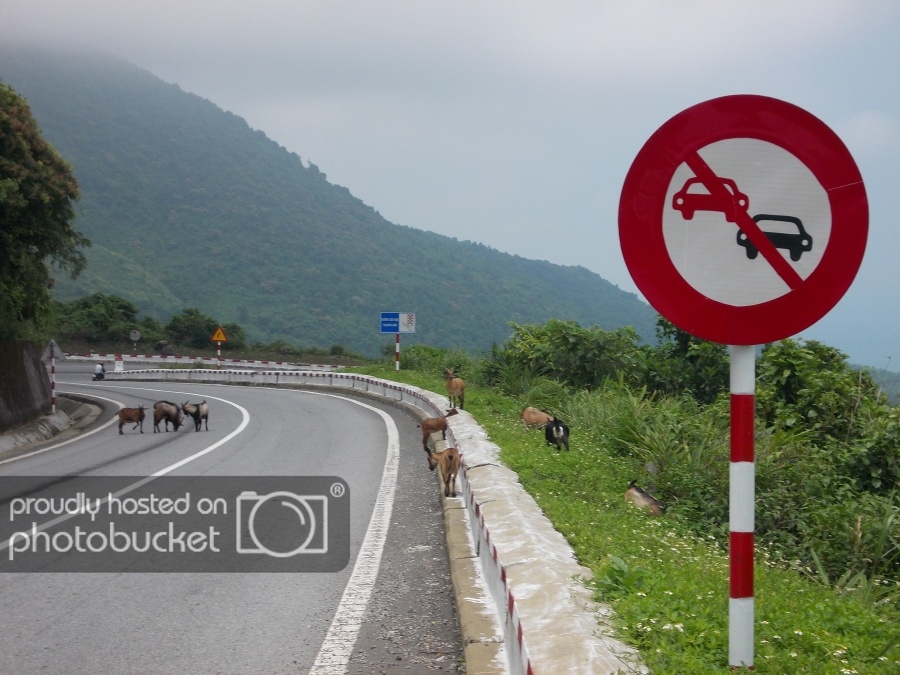 haivan_pass60_zpsb4376630.jpg