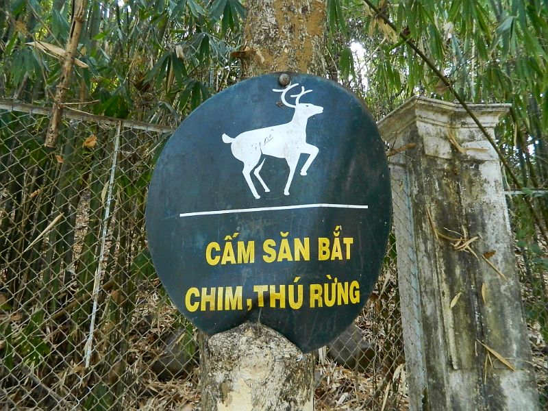 DSCN3606.jpg